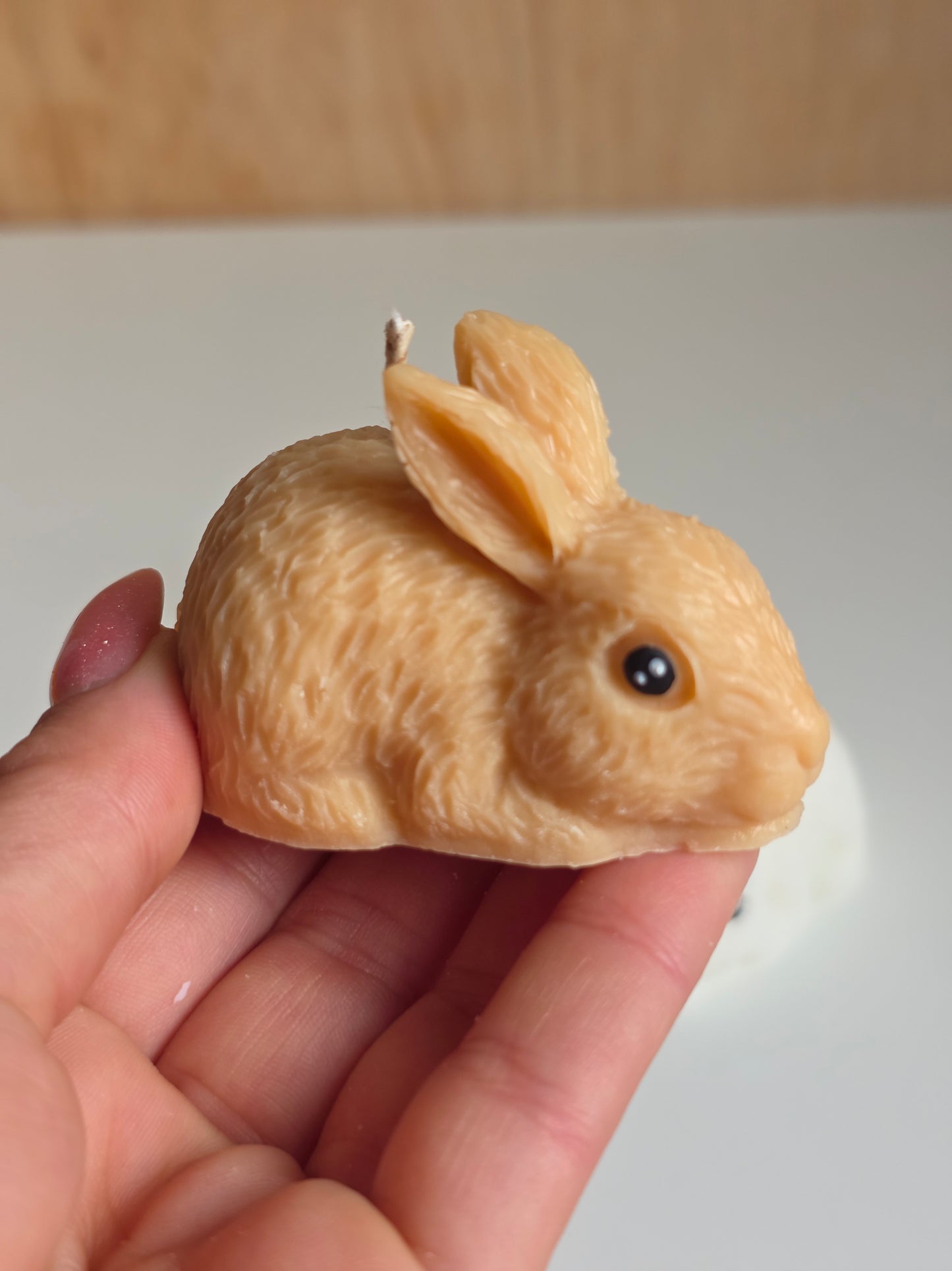 Rabbit