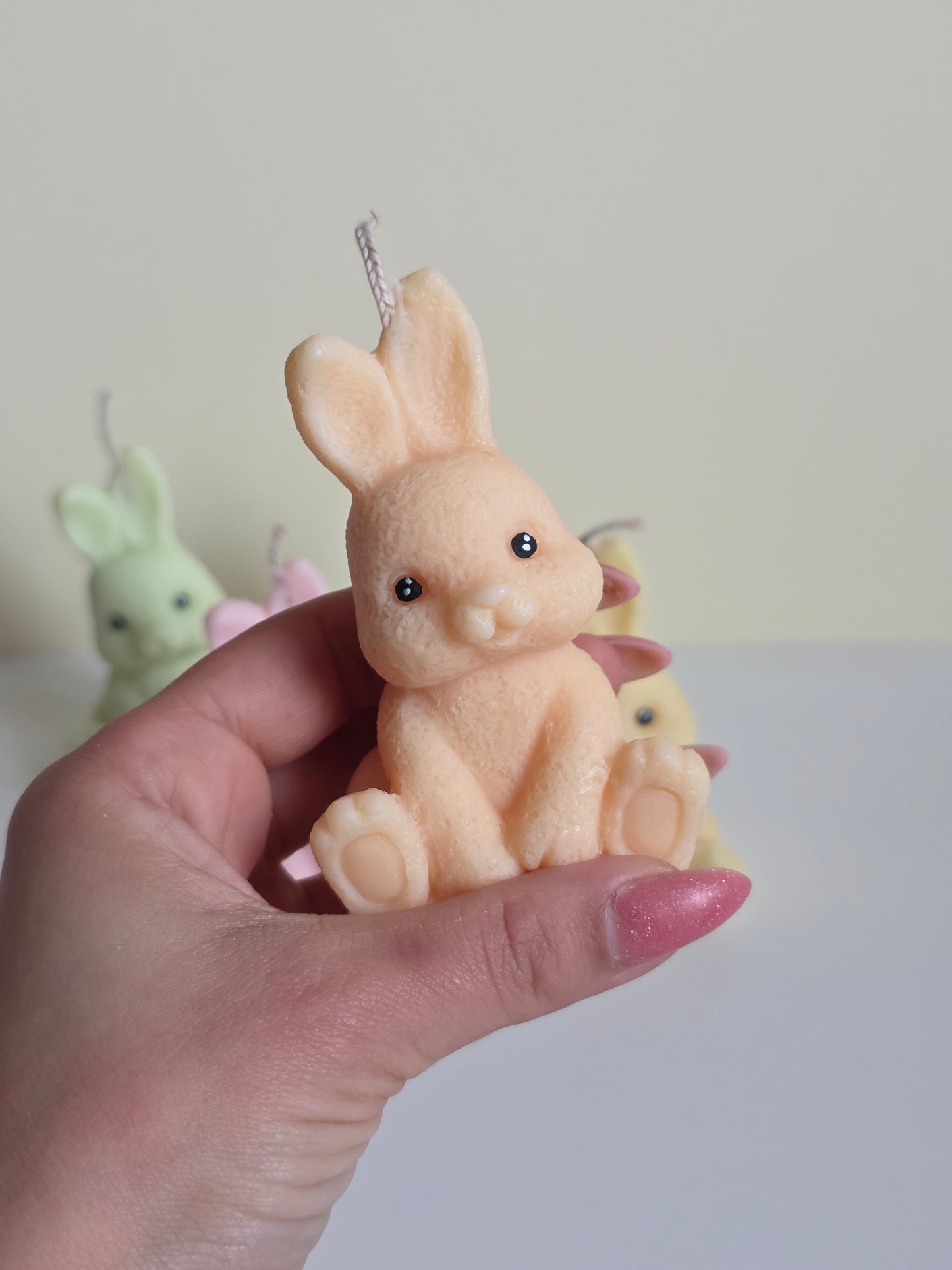 Cute bunny