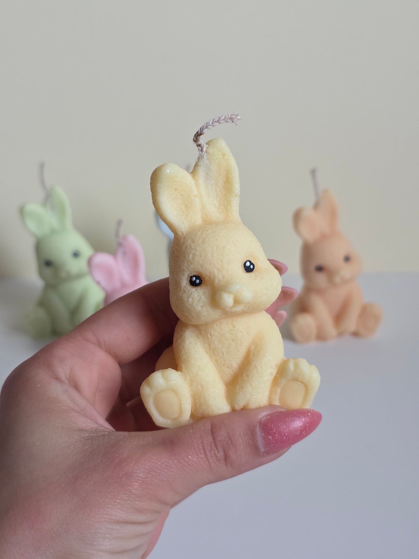 Cute bunny