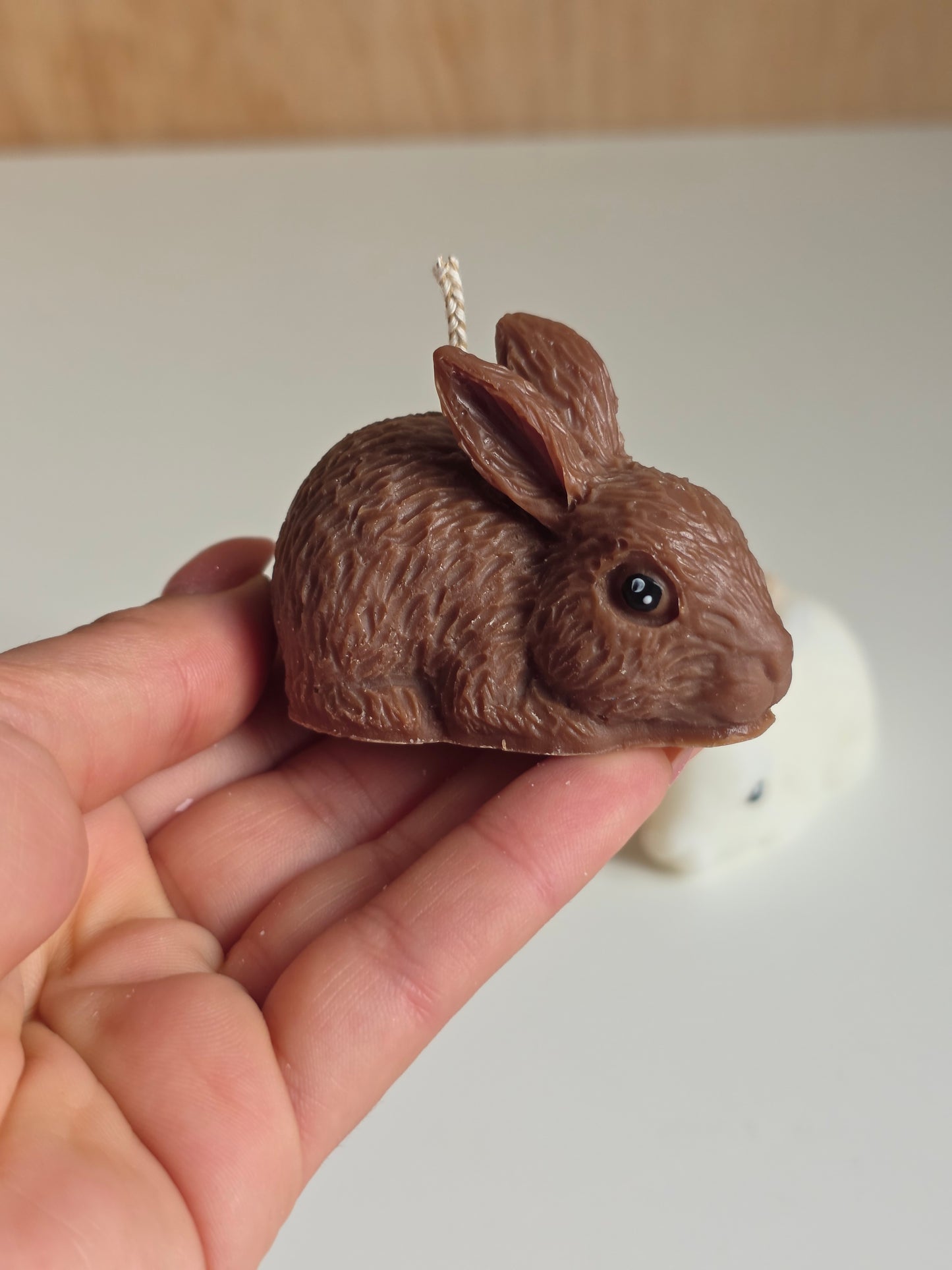 Rabbit
