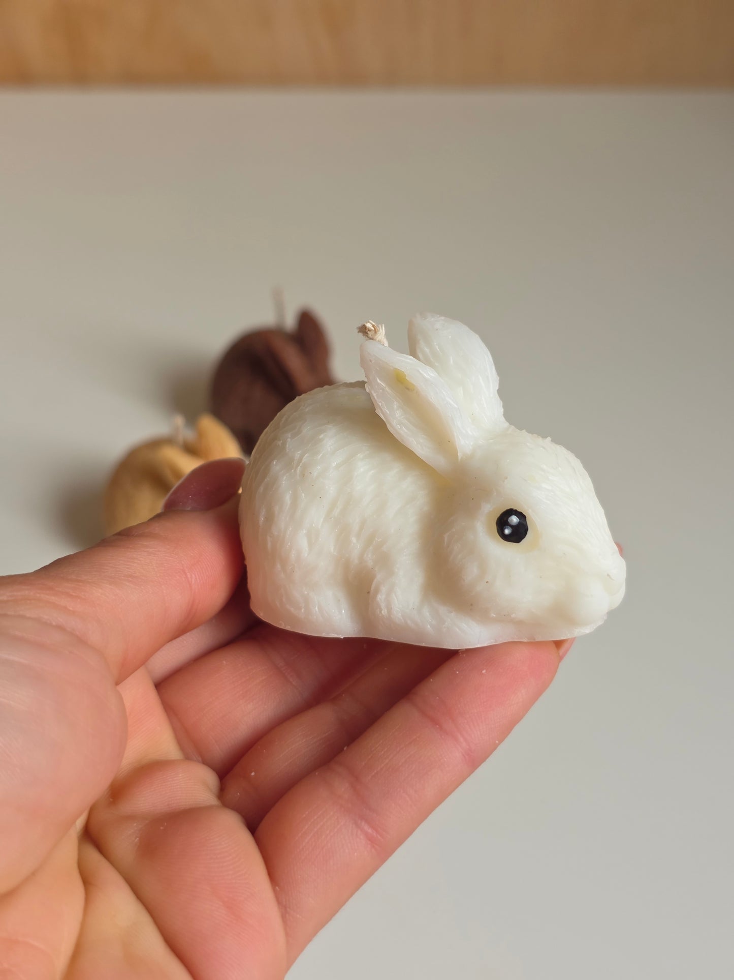 Rabbit
