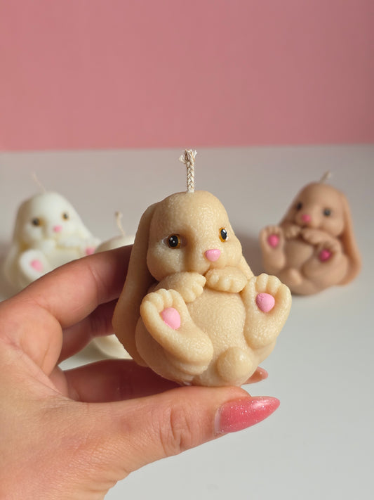 Cute bunny baby