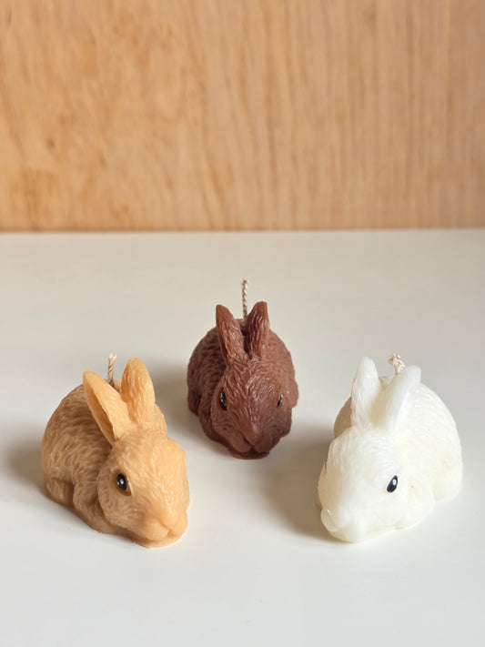 Rabbit
