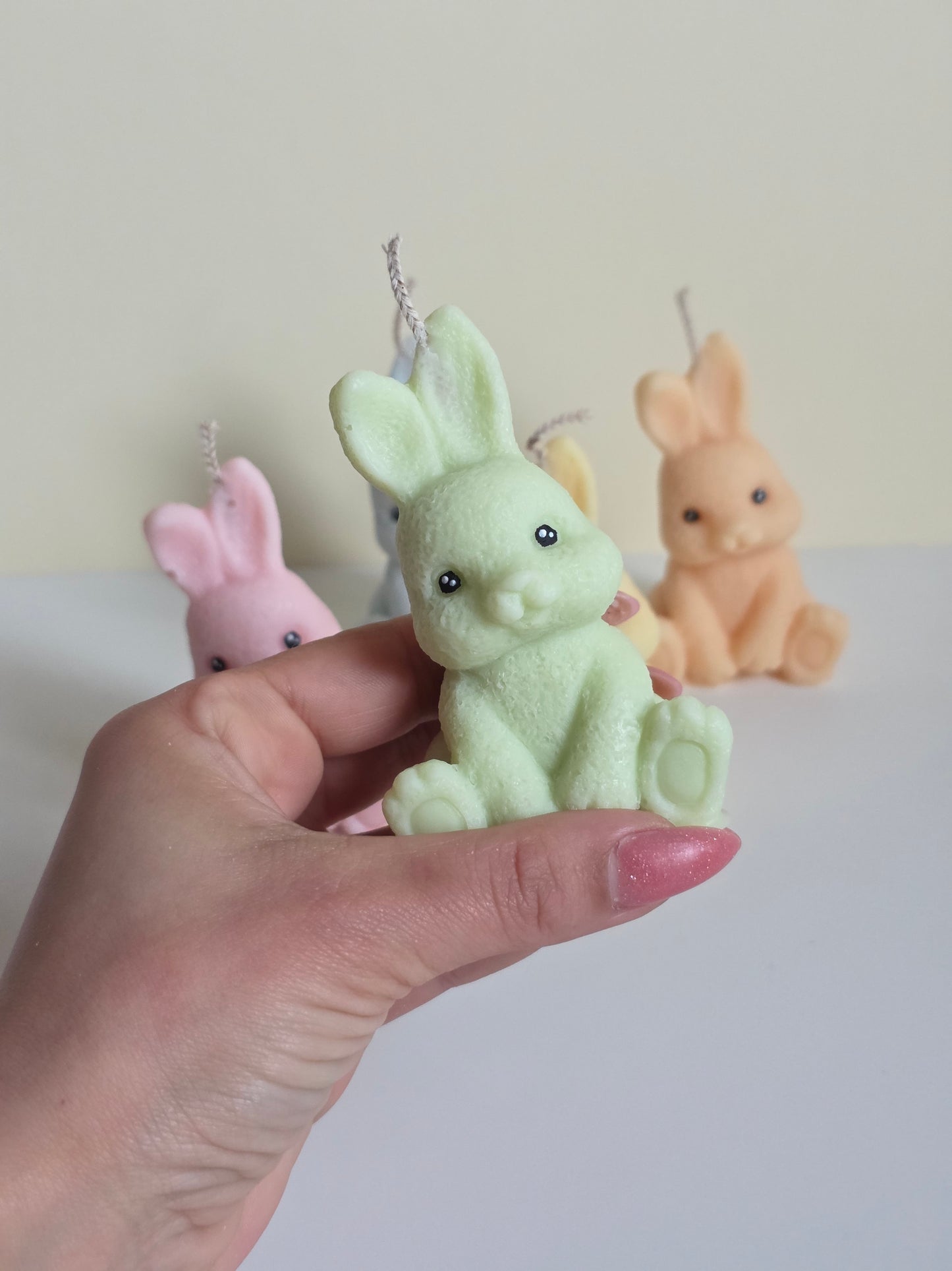 Cute bunny