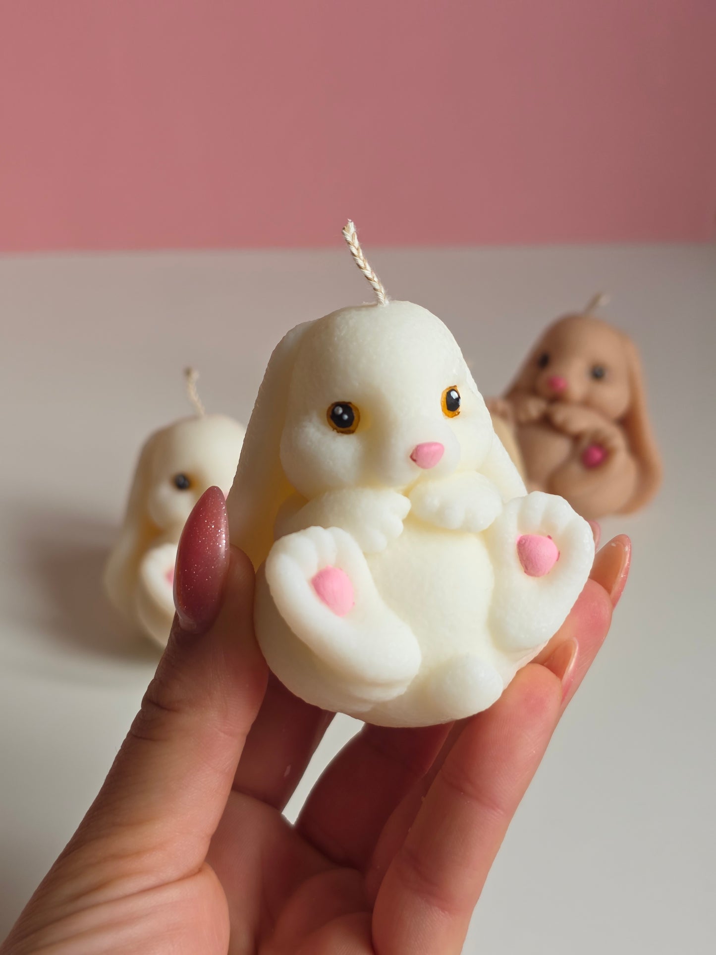 Cute bunny baby