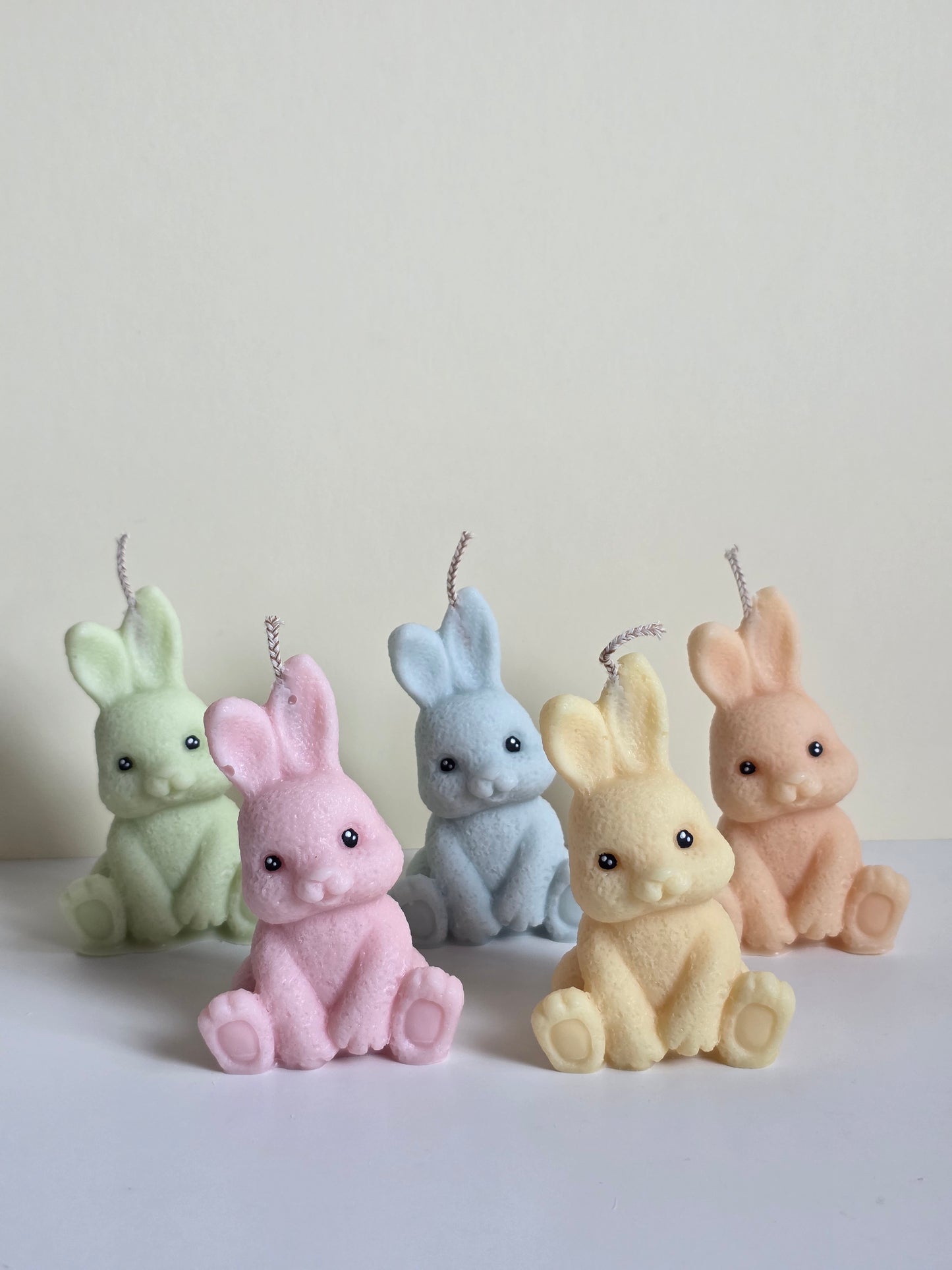 Cute bunny