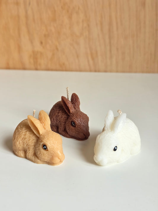Rabbit